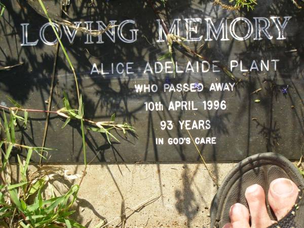 Alice Adelaide PLANT,  | died 10 April 1996 aged 93 years;  | Bell cemetery, Wambo Shire  | 
