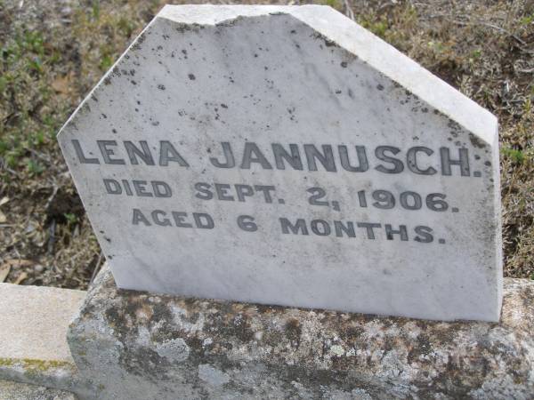 Lena JANNUSCH,  | died 2 Sept 1906 aged 6 months;  | Bergen Djuan cemetery, Crows Nest Shire  | 