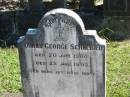 Johann George SCHNEIDER geb 20 Juni 1900 ges 22 Juni 1903  Bethania Lutheran Church, Bethania, Gold Coast 