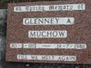 
Glenny A MUCHOW
B: 20 Aug 1913
D: 19 Jul 1986

Bethel Lutheran Cemetery, Logan Reserve (Logan City)

