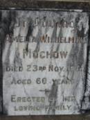
Amelia Wilhelmine MUCHOW
23 Nov 1931
aged 60

Bethel Lutheran Cemetery, Logan Reserve (Logan City)

