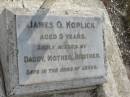 
James O KOPLICK
aged 5 years

Bethel Lutheran Cemetery, Logan Reserve (Logan City)

