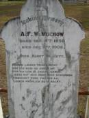 
A F W MUCHOW
B: 4 Sep 1858
D: 6 Dec 1906

Bethel Lutheran Cemetery, Logan Reserve (Logan City)

