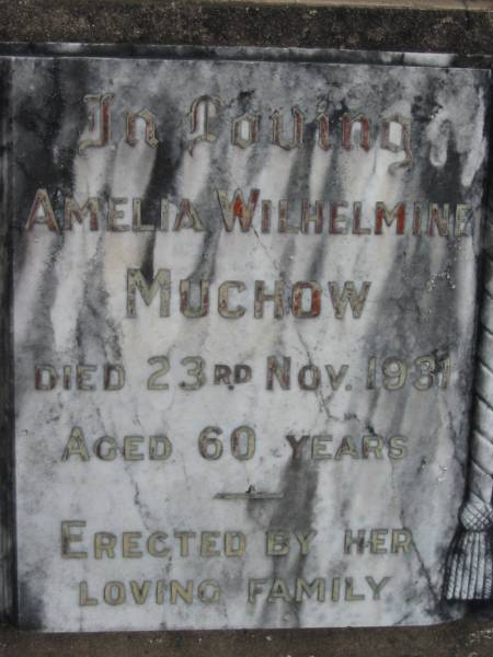 Amelia Wilhelmine MUCHOW  | 23 Nov 1931  | aged 60  |   | Bethel Lutheran Cemetery, Logan Reserve (Logan City)  |   | 