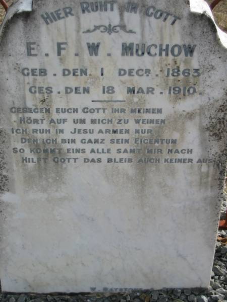 E F W MUCHOW  | geb 1 Dec 1863  | ges 18 Mar 1910  |   | Bethel Lutheran Cemetery, Logan Reserve (Logan City)  |   | 