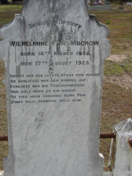 Wilhelmine F A MUCHOW  | B: 14 Mar 1858  | D: 17 Aug 1923  |   | Bethel Lutheran Cemetery, Logan Reserve (Logan City)  |   | 