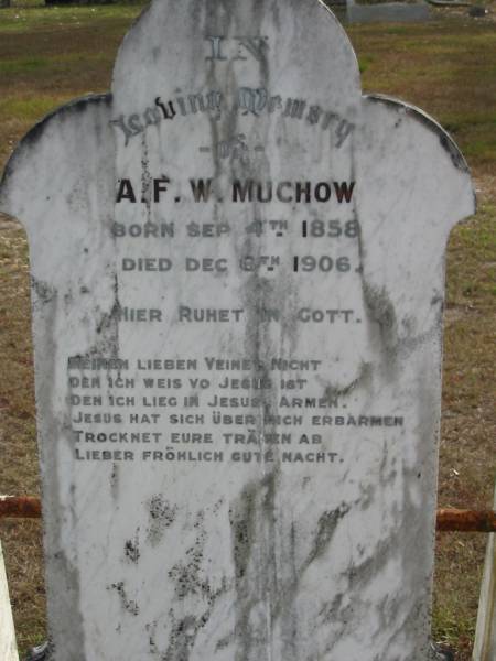 A F W MUCHOW  | B: 4 Sep 1858  | D: 6 Dec 1906  |   | Bethel Lutheran Cemetery, Logan Reserve (Logan City)  |   | 