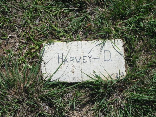 D. HARVEY;  | Blackbutt-Benarkin cemetery, South Burnett Region  | 