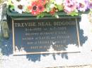 Trevise Neal BIDGOOD, 5-4-1933 - 4-7-2003, husband of Gail, father of David & Phillip, son of Charlie & Liz; Blackbutt-Benarkin cemetery, South Burnett Region 