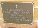 
Brian James BENFELL,
died 14 Aug 1999 aged 29 years 10 months;
Bribie Island Memorial Gardens, Caboolture Shire
