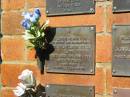 
Alice Wilhelmina KELLY (LUFF),
mother grandmother,
died 16 June 1993 aged 79 years;
Bribie Island Memorial Gardens, Caboolture Shire
