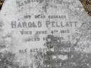 
Harold PELLATT, husband,
died 5 June 1918 aged 53 years;
Alice, daughter,
died 31 July 1898 aged 3 years;
Alfred E. PELLATT,
died 22 Oct 1939 aged 40 years;
Alice PELLATT,
died 14 Jan 1948 aged 82 years;
Brookfield Cemetery, Brisbane

