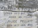 
Harold PELLATT, husband,
died 5 June 1918 aged 53 years;
Alice, daughter,
died 31 July 1898 aged 3 years;
Alfred E. PELLATT,
died 22 Oct 1939 aged 40 years;
Alice PELLATT,
died 14 Jan 1948 aged 82 years;
Brookfield Cemetery, Brisbane

