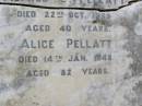 
Harold PELLATT, husband,
died 5 June 1918 aged 53 years;
Alice, daughter,
died 31 July 1898 aged 3 years;
Alfred E. PELLATT,
died 22 Oct 1939 aged 40 years;
Alice PELLATT,
died 14 Jan 1948 aged 82 years;
Brookfield Cemetery, Brisbane

