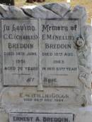 
C.C. (Charles) BREDDIN,
died 14 June 1951 aged 76 years;
E.M. (Nellie) BREDDIN,
died 18 Aug 1963 in 83rd year;
E.M. (Tillie) GOUGH,
died 26 Dec 1964;
Ernest A. BREDDIN,
died 29 Nov 1973;
Robert W. BREDDIN, son,
died 20 June 1933 aged 19 years;
Dorothy GRANTZ, daughter,
died 25 Jan 1945 aged 43 years;
parents;
Adam (Mick) APPEL,
28-9-1894 - 13-4-1969;
Christina Grace APPEL, wife,
7-1-1903 - 31-7-1991;
Brookfield Cemetery, Brisbane
