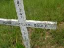 
Marie Jocelyn GAULD,
born 1947 aged 3 weeks;
Brooweena St Marys Anglican cemetery, Woocoo Shire
