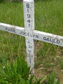 
Marie Jocelyn GAULD,
born 1947 aged 3 weeks;
Brooweena St Marys Anglican cemetery, Woocoo Shire
