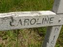 
Caroline THOMSEN,
died 1933;
Brooweena St Marys Anglican cemetery, Woocoo Shire
