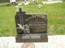 Davies SALEM, husband, died 22 Jan 1954 aged 70 years; Elsie SALEM, wife, died 28 Nov 1964 aged 69 years; Brooweena St Mary's Anglican cemetery, Woocoo Shire 
