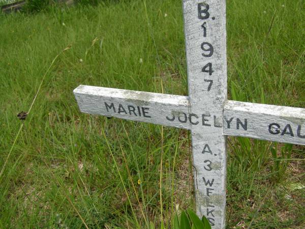 Marie Jocelyn GAULD,  | born 1947 aged 3 weeks;  | Brooweena St Mary's Anglican cemetery, Woocoo Shire  | 