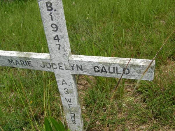 Marie Jocelyn GAULD,  | born 1947 aged 3 weeks;  | Brooweena St Mary's Anglican cemetery, Woocoo Shire  | 
