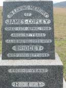 
James COPLEY,
died 13 April 1928 aged 67 years;
Bridget, wife,
died 23 Sept 1943 aged 81 years;
Bryden (formerly Deep Creek) Catholic cemetery, Esk Shire
