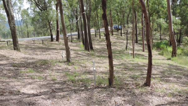 Bunya cemetery, Pine Rivers  | 