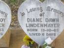 Desmond Roy LINDENMAYER, born 13-10-63 aged 6 hours; Diane Dawn LINDENMAYER, born 13-10-63 aged 6 days; Caffey Cemetery, Gatton Shire 