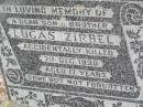 
Lucas ZIRBEL, son brother,
accidentally killed 7 Dec 1930 aged 17 years;
--
shot himself getting through fence -- research contact: J HOGER

Caffey Cemetery, Gatton Shire
