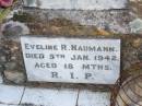 May Elizabeth, daughter of Mr & Mrs H.W. NAUMANN, died 9 March 1928 aged 13 months; Eveline R. NAUMANN, died 5 Jan 1942 aged 18 months; Caffey Cemetery, Gatton Shire 