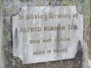 
Alfred Norman TEIS,
died 6 May 1934 aged 19 years;
Caffey Cemetery, Gatton Shire
