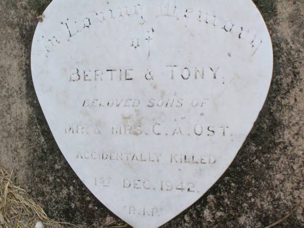 Bertie, 11 years;  | Tony, 8 years;  | sons of Mr & Mrs C.A. OST,  | accidentally killed 1 Dec 1942;  | Caffey Cemetery, Gatton Shire  | 
