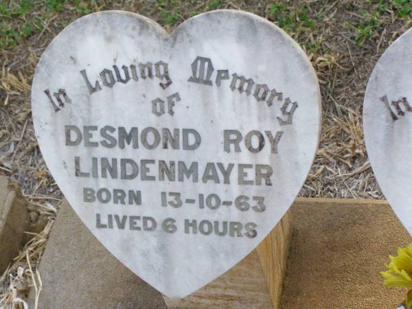 Desmond Roy LINDENMAYER,  | born 13-10-63 aged 6 hours;  | Diane Dawn LINDENMAYER,  | born 13-10-63 aged 6 days;  | Caffey Cemetery, Gatton Shire  | 