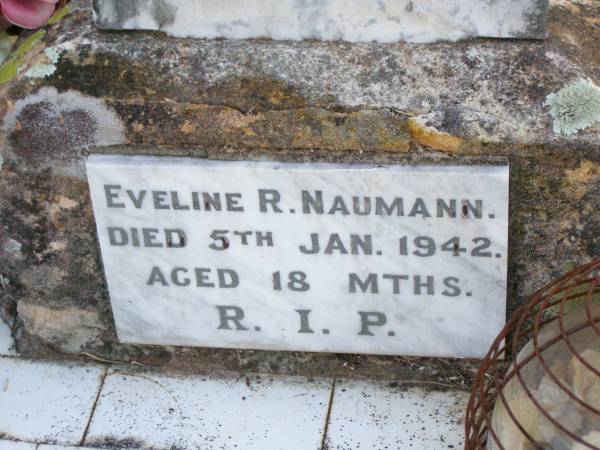 May Elizabeth,  | daughter of Mr & Mrs H.W. NAUMANN,  | died 9 March 1928 aged 13 months;  | Eveline R. NAUMANN,  | died 5 Jan 1942 aged 18 months;  | Caffey Cemetery, Gatton Shire  | 