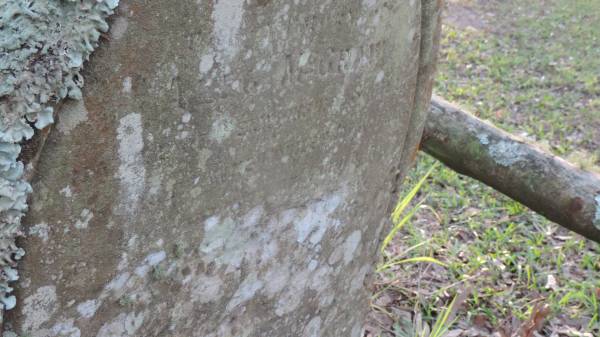 Alec McGRAW  | .. Scotland  |   | Thomas Park (Old Carrington Cemetery)  |   |   |   | 