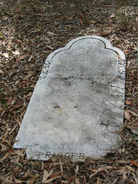 Gottfried Springer 23 Jul 1915??? aged 81  | Freddricka Dec 1928 aged 81  | Chapel Hill Uniting (formerly Methodist) Cemetery - Brisbane  |   | 