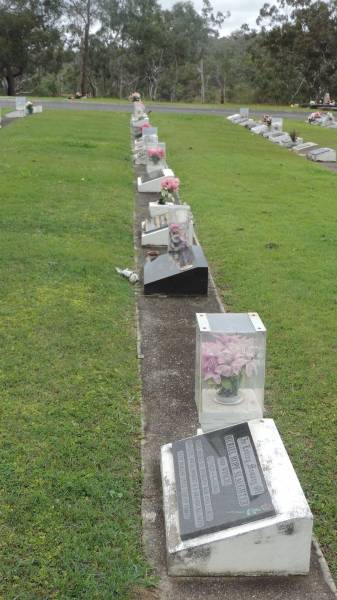   | Cooloola Coast Cemetery  |   | 