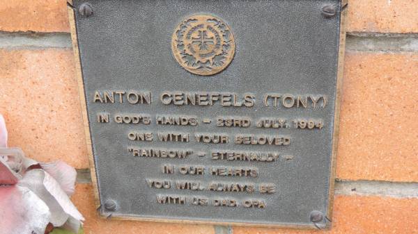 Anton CENEFELS (Tony)  | d: 23 Jul 1994  |   | Cooloola Coast Cemetery  |   | 