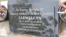 
(Gerry) Gerald Albert James LLEWELLYN
b: 22 Nov 1941
d: 10 Oct 2014

Cooloola Coast Cemetery

