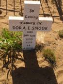 
Dora E SNOOK
d: 29 Sep 1899, aged 14 months

Cossack (European and Japanese cemetery), WA
