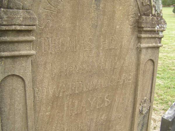 Thomas Henry,  | child of Edward & Margaret HAYES,  | died 28 July 1886 aged 9 months;  | Coulson General Cemetery, Scenic Rim Region  | 