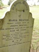 
Maria NESTER,
wife of Joseph NESTER,
died 11 Aug 1907 aged 49 years,
erected by husband & children;
Coulson General Cemetery, Scenic Rim Region
