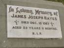 
James Joseph (Jim) HAYES,
died 15 Dec 1967 aged 89 years 11 months;
Coulson General Cemetery, Scenic Rim Region
