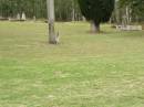 
Coulson General Cemetery, Scenic Rim Region
