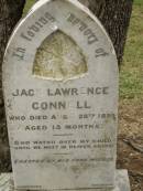 
Jack Lawrence CONNELL,
died 28 Aug 1899 aged 15 months,
erected by mother;
Coulson General Cemetery, Scenic Rim Region
