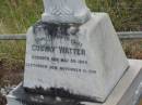 
Gustav WATTER,
born 30 May 1855,
died 11 Nov 1916;
Wilhelm August WATTER,
born 21 Nov 1905,
died 5 March 1915;
Otto Alfred WATTER,
born 21 Dec 1910,
died 5 March 1915;
Coulson General Cemetery, Scenic Rim Region
