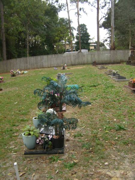   | Diddillibah Cemetery, Maroochy Shire  |   | 