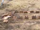 
Douglas Lutheran cemetery, Crows Nest Shire
