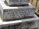 
Mary Louisa GESLER,
born 13 August 1886
died 14 May 1899 aged 12 years;
Douglas Lutheran cemetery, Crows Nest Shire
