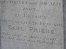 
Wilhelmine PRIEBE (nee BRUNWALD),
born 26 Sept 1870 Prussia,
died 30 May 1907 Bergen,
wife of Carl PRIEBE;
Douglas Lutheran cemetery, Crows Nest Shire

